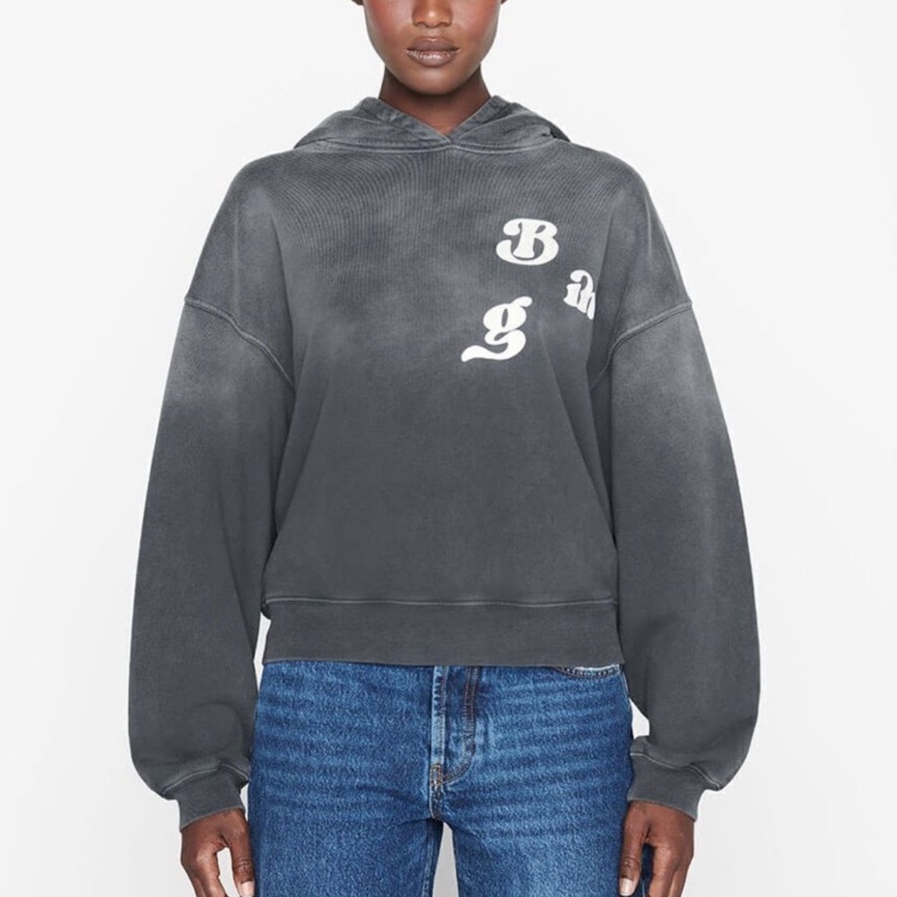 Anine Bing Alec Organic Cotton Hoodie in Washed Black Size Large